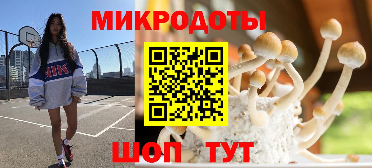 Губкинский  Псилоцибиновые грибы Psilocybine cubensis  Вход с VPN  Псилоцибиновые грибы Magic Shrooms 